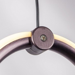 Подвесной светильник Lightstar Caramello 796229 в Камышлове - kamyshlov.ok-mebel.com | фото 10