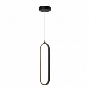Подвесной светильник Lightstar Saturno 749007 в Камышлове - kamyshlov.ok-mebel.com | фото 2