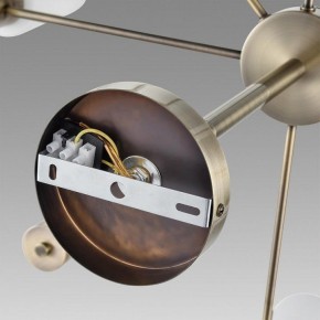 Подвесной светильник Lumion Mave 8100/8C в Камышлове - kamyshlov.ok-mebel.com | фото 6