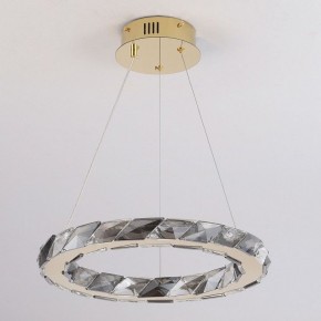 Подвесной светильник Lussole Citrus LSP-7156 в Камышлове - kamyshlov.ok-mebel.com | фото 2