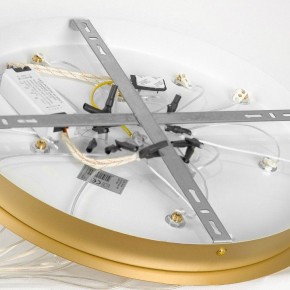 Подвесной светильник Lussole Hopkins LSP-7404 в Камышлове - kamyshlov.ok-mebel.com | фото 4