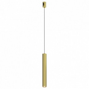 Подвесной светильник Maytoni Focus Led TR155-1-5W3K-BS в Камышлове - kamyshlov.ok-mebel.com | фото