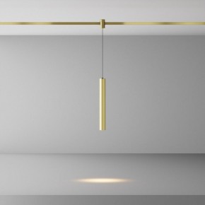 Подвесной светильник Maytoni Focus Led TR155-1-5W3K-BS в Камышлове - kamyshlov.ok-mebel.com | фото 2