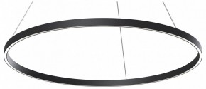 Подвесной светильник Maytoni Rim MOD058PL-L54BK в Камышлове - kamyshlov.ok-mebel.com | фото