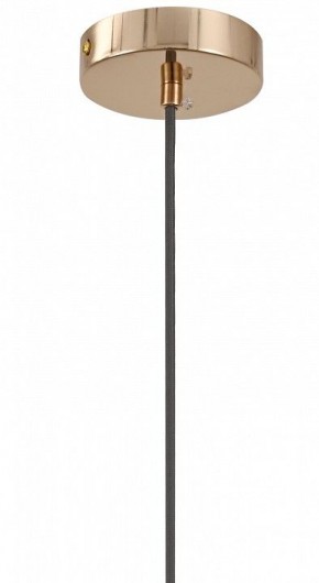Подвесной светильник Moderli Charm V11176-1P в Камышлове - kamyshlov.ok-mebel.com | фото 8