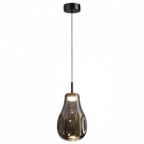Подвесной светильник Odeon Light Nave 5098/4LC в Камышлове - kamyshlov.ok-mebel.com | фото 2