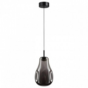Подвесной светильник Odeon Light Nave 5098/4LC в Камышлове - kamyshlov.ok-mebel.com | фото 4