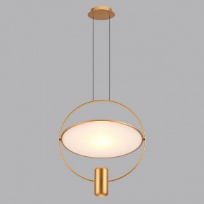 Подвесной светильник Odeon Light Orbit 7028/2L в Камышлове - kamyshlov.ok-mebel.com | фото 4