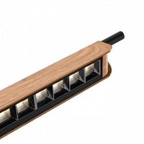 Подвесной светильник Odeon Light Punto 7018/40LB в Камышлове - kamyshlov.ok-mebel.com | фото 6