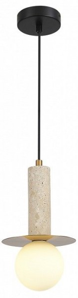 Подвесной светильник ST-Luce Earthy SL1194.303.01 в Камышлове - kamyshlov.ok-mebel.com | фото 3