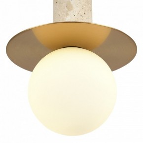 Подвесной светильник ST-Luce Earthy SL1194.303.01 в Камышлове - kamyshlov.ok-mebel.com | фото 5
