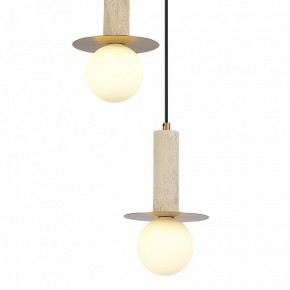 Подвесной светильник ST-Luce Earthy SL1194.303.03 в Камышлове - kamyshlov.ok-mebel.com | фото 4