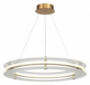 Подвесной светильник ST-Luce FAGY SL6245.203.01 в Камышлове - kamyshlov.ok-mebel.com | фото 2