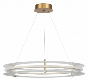 Подвесной светильник ST-Luce FAGY SL6245.203.01 в Камышлове - kamyshlov.ok-mebel.com | фото 3