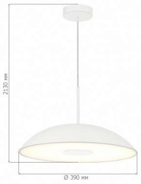 Подвесной светильник ST-Luce Lido SL6128.503.01 в Камышлове - kamyshlov.ok-mebel.com | фото 4