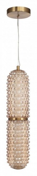 Подвесной светильник ST-Luce SAGUARO SL6144.303.01 в Камышлове - kamyshlov.ok-mebel.com | фото 3