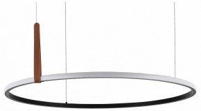 Подвесной светильник ST-Luce Shape SL6131.403.42 в Камышлове - kamyshlov.ok-mebel.com | фото 2