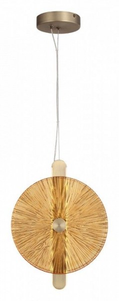 Подвесной светильник ST-Luce WASI SL6141.313.01 в Камышлове - kamyshlov.ok-mebel.com | фото 2