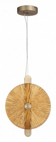 Подвесной светильник ST-Luce WASI SL6141.313.01 в Камышлове - kamyshlov.ok-mebel.com | фото 3
