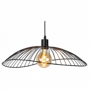 Подвесной светильник TopLight Agnes TL1196H-01BK в Камышлове - kamyshlov.ok-mebel.com | фото