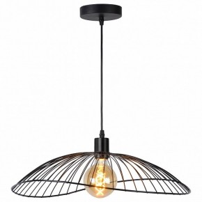 Подвесной светильник TopLight Agnes TL1196H-01BK в Камышлове - kamyshlov.ok-mebel.com | фото 2