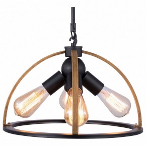 Подвесной светильник TopLight Jasmin TL1179H-04BK в Камышлове - kamyshlov.ok-mebel.com | фото