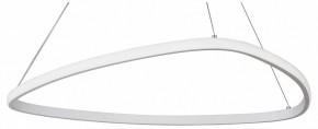 Подвесной светильник Vitaluce V04624 V04624-03/1S в Камышлове - kamyshlov.ok-mebel.com | фото