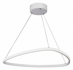 Подвесной светильник Vitaluce V04624 V04624-03/1S в Камышлове - kamyshlov.ok-mebel.com | фото 2