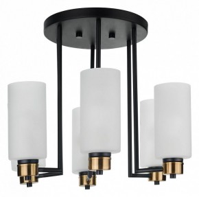 Потолочная люстра 33 идеи CHN900 CHN900.06.BL17.ASB-S16WH в Камышлове - kamyshlov.ok-mebel.com | фото 3