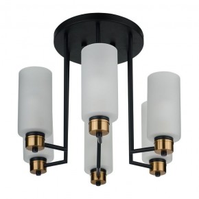 Потолочная люстра 33 идеи CHN900 CHN900.06.BL17.ASB-S16WH в Камышлове - kamyshlov.ok-mebel.com | фото 4