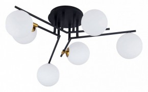 Потолочная люстра Arte Lamp Gemini A2243PL-6BK в Камышлове - kamyshlov.ok-mebel.com | фото