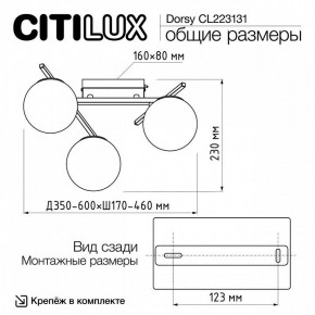 Потолочная люстра Citilux Dorsy CL223131 в Камышлове - kamyshlov.ok-mebel.com | фото 11