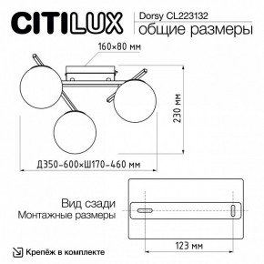 Потолочная люстра Citilux Dorsy CL223132 в Камышлове - kamyshlov.ok-mebel.com | фото 12