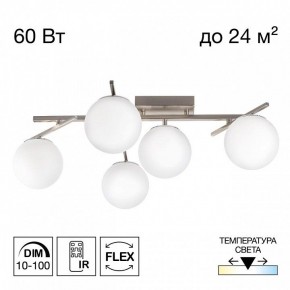 Потолочная люстра Citilux Dorsy CL223151 в Камышлове - kamyshlov.ok-mebel.com | фото 2