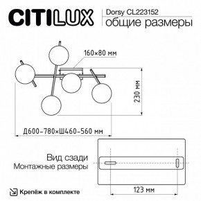 Потолочная люстра Citilux Dorsy CL223152 в Камышлове - kamyshlov.ok-mebel.com | фото 10