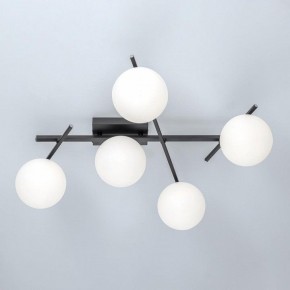 Потолочная люстра Citilux Dorsy CL223152 в Камышлове - kamyshlov.ok-mebel.com | фото 6