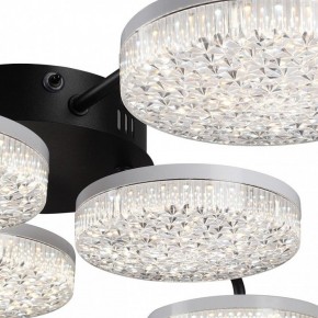 Потолочная люстра Lumion Didana 8236/6CL в Камышлове - kamyshlov.ok-mebel.com | фото 9