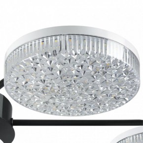 Потолочная люстра Lumion Didana 8236/7CL в Камышлове - kamyshlov.ok-mebel.com | фото 9