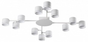 Потолочная люстра Lumion Gareta 8235/12C в Камышлове - kamyshlov.ok-mebel.com | фото