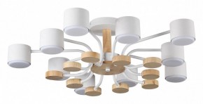 Потолочная люстра Lumion Rondo 8196/10C в Камышлове - kamyshlov.ok-mebel.com | фото