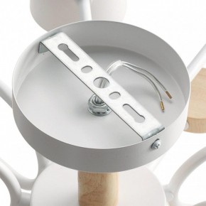Потолочная люстра Lumion Rondo 8196/10C в Камышлове - kamyshlov.ok-mebel.com | фото 6