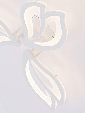 Потолочная люстра Natali Kovaltseva FORTUNA LED LAMPS 81107/2C в Камышлове - kamyshlov.ok-mebel.com | фото 11