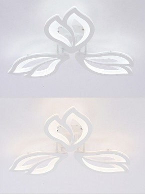Потолочная люстра Natali Kovaltseva FORTUNA LED LAMPS 81107/2C в Камышлове - kamyshlov.ok-mebel.com | фото 4