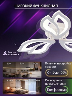 Потолочная люстра Natali Kovaltseva FORTUNA LED LAMPS 81107/2C в Камышлове - kamyshlov.ok-mebel.com | фото 5