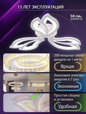 Потолочная люстра Natali Kovaltseva FORTUNA LED LAMPS 81107/2C в Камышлове - kamyshlov.ok-mebel.com | фото 6