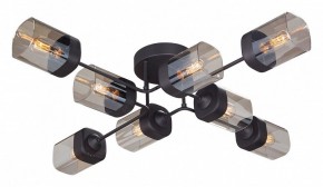 Потолочная люстра Vitaluce 4889 V4889-1/8PL в Камышлове - kamyshlov.ok-mebel.com | фото