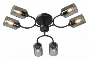 Потолочная люстра Vitaluce V2823 V2823-1/6PL в Камышлове - kamyshlov.ok-mebel.com | фото 2