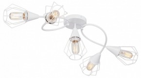 Потолочная люстра Vitaluce V3037 V3037-0/5PL в Камышлове - kamyshlov.ok-mebel.com | фото