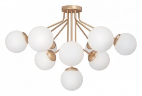 Потолочная люстра Vitaluce V42870 V42870-8/10PL в Камышлове - kamyshlov.ok-mebel.com | фото 2