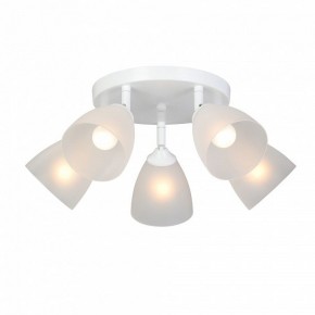 Потолочная люстра Vitaluce V4355 V4355-0/5PL в Камышлове - kamyshlov.ok-mebel.com | фото 2